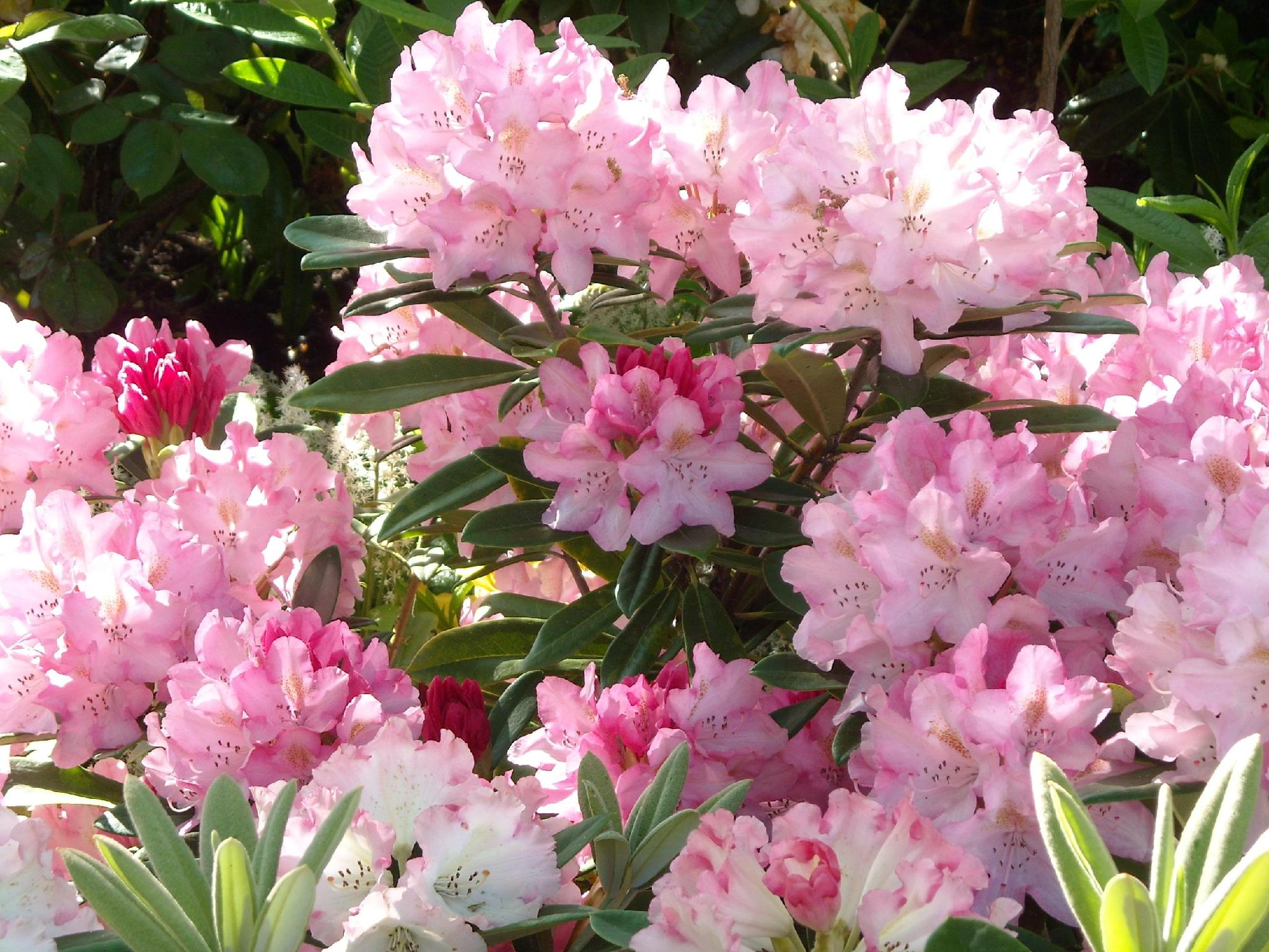 シティ センター モーテル 写真