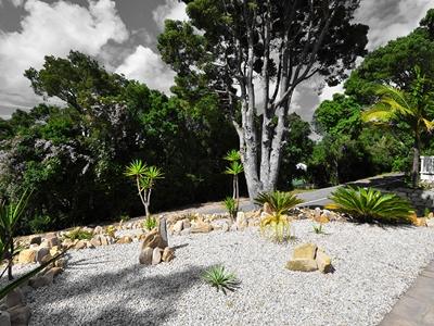 サウス ヴィラ 写真