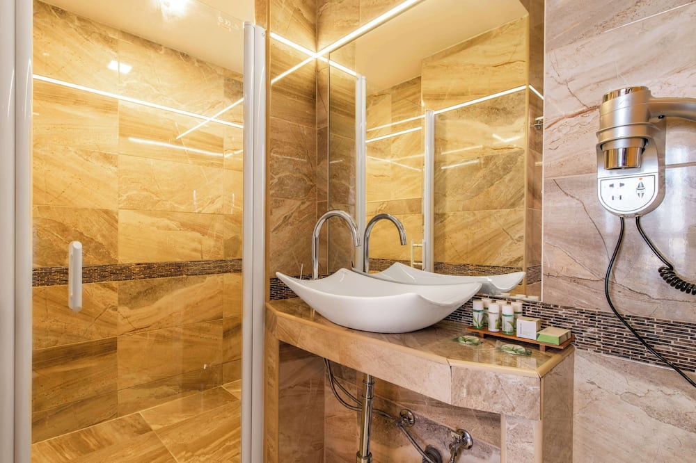 ダヌビア ゲート ホテル 写真