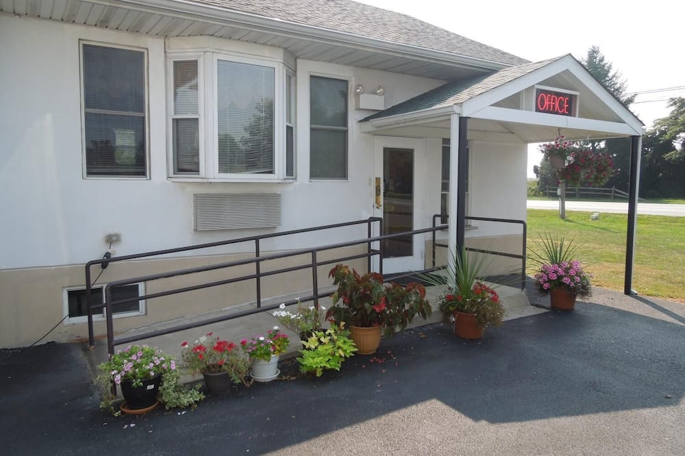 スコティッシュ イン ロンクス 写真