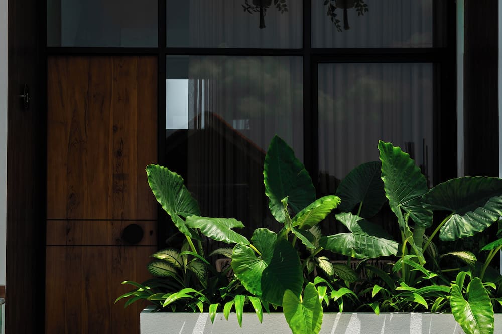 KARRA LOFT - バリ ウェイ 写真