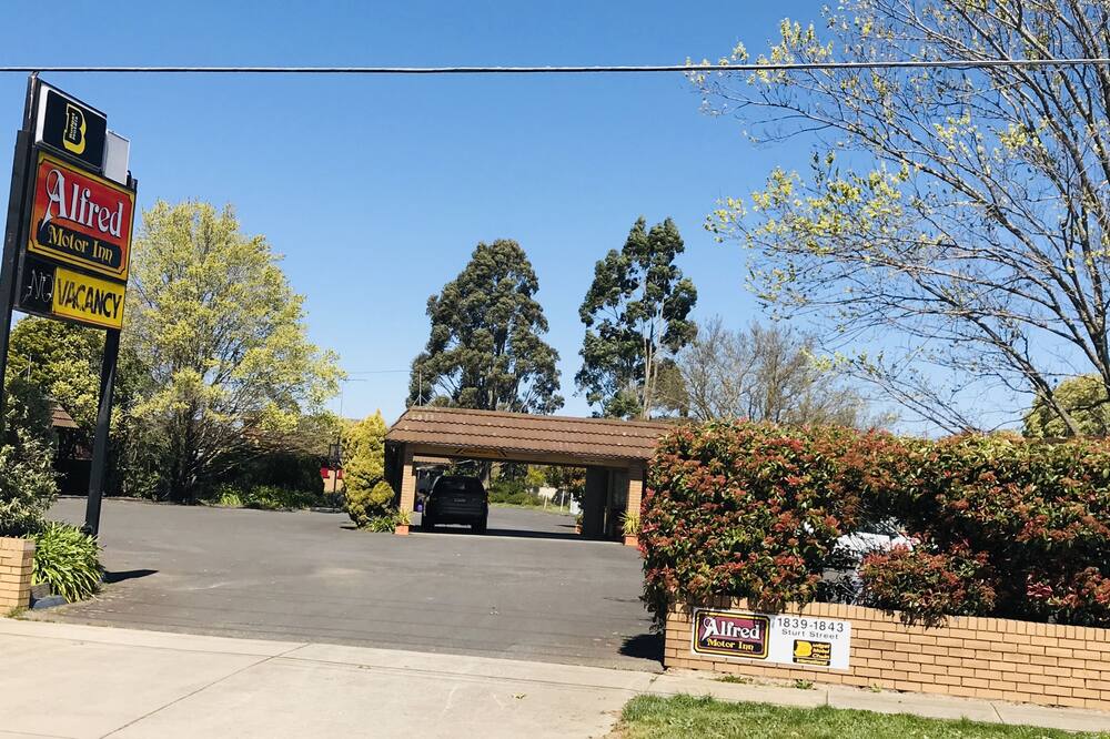 アルフレッド モーターイン 写真