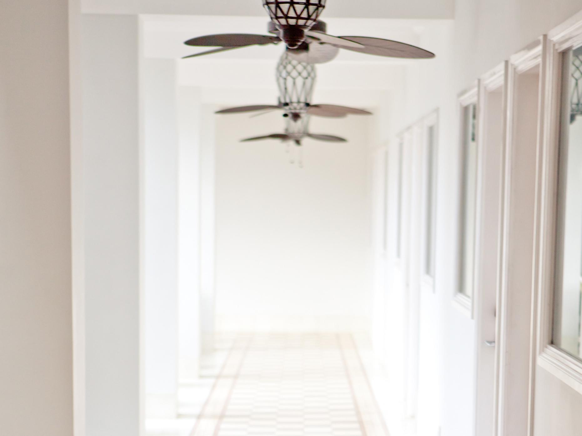 サムサラ イン 写真