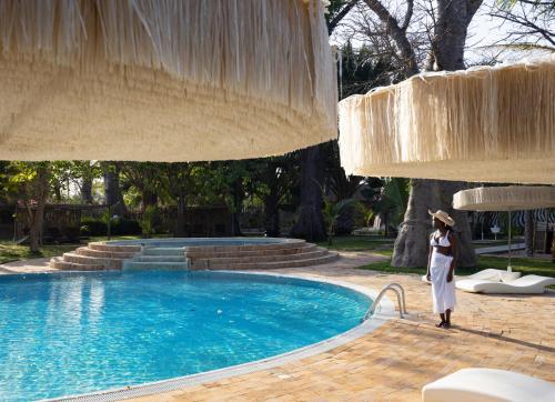 Les Palétuviers 写真