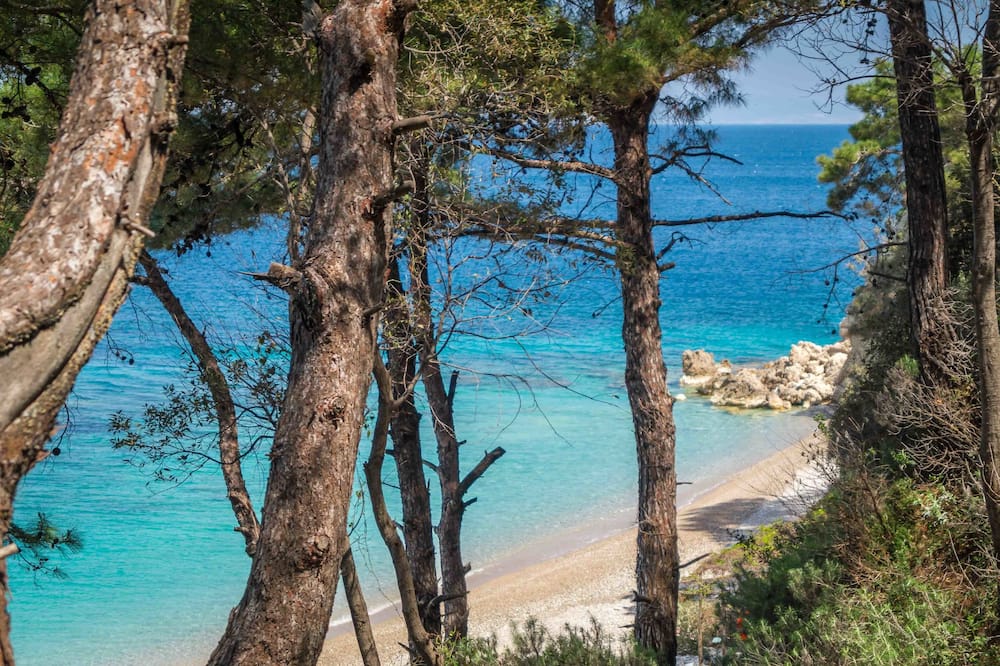 Armonia Bay Hotel 写真