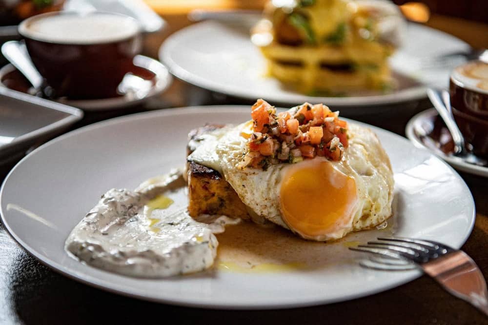 ザ ウィルコックス 写真