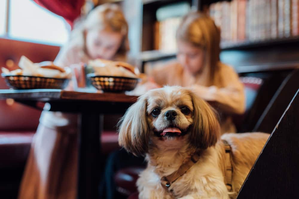 Best Western Hotel Carlia 写真