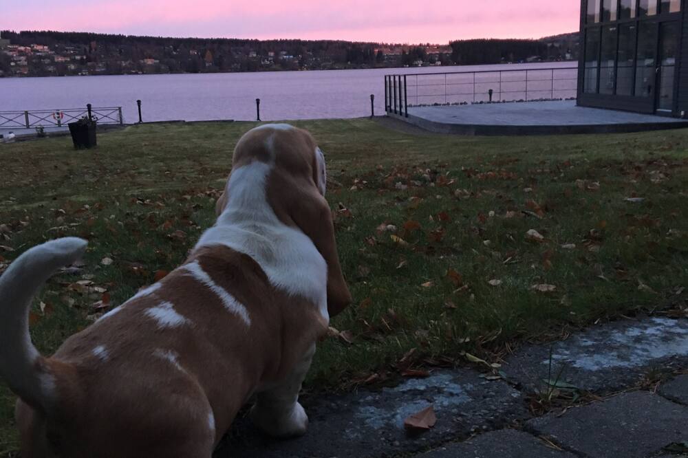 Hotell Ostersund 写真