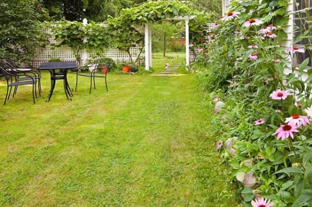 ベッズ オン クラウズ 写真