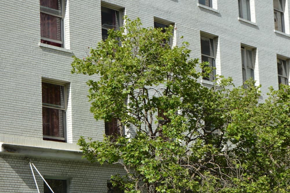 SF プラザ ホテル 写真