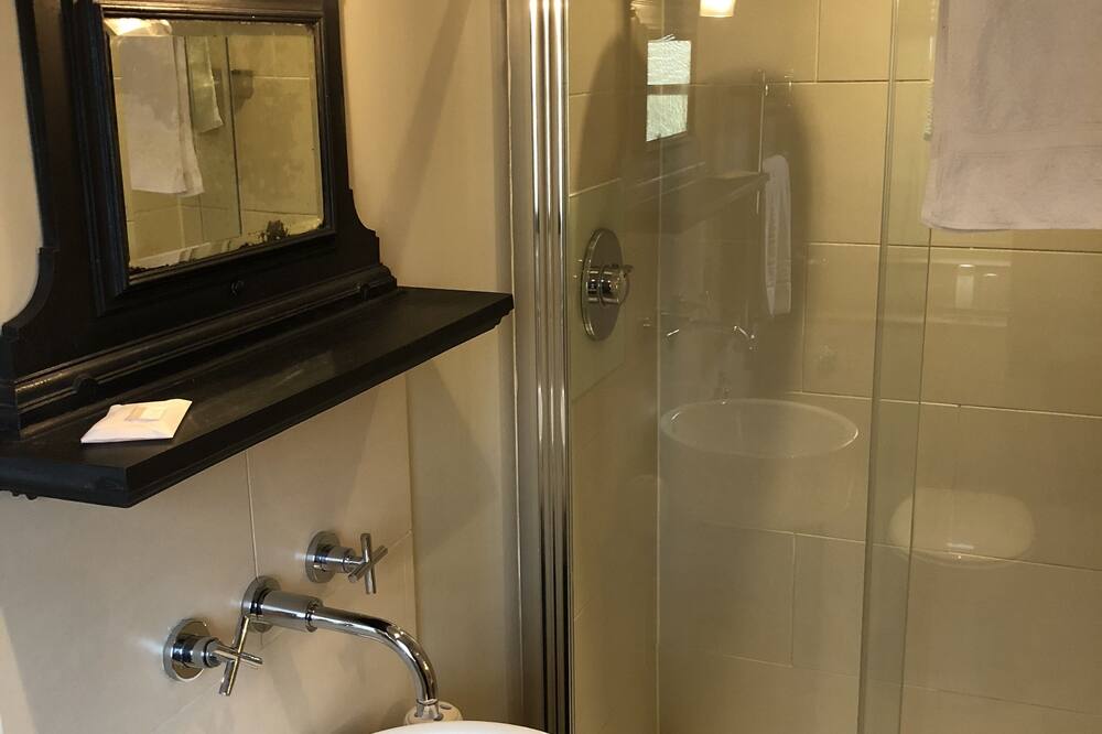 ザ ニュー ホワイト ライオン 写真