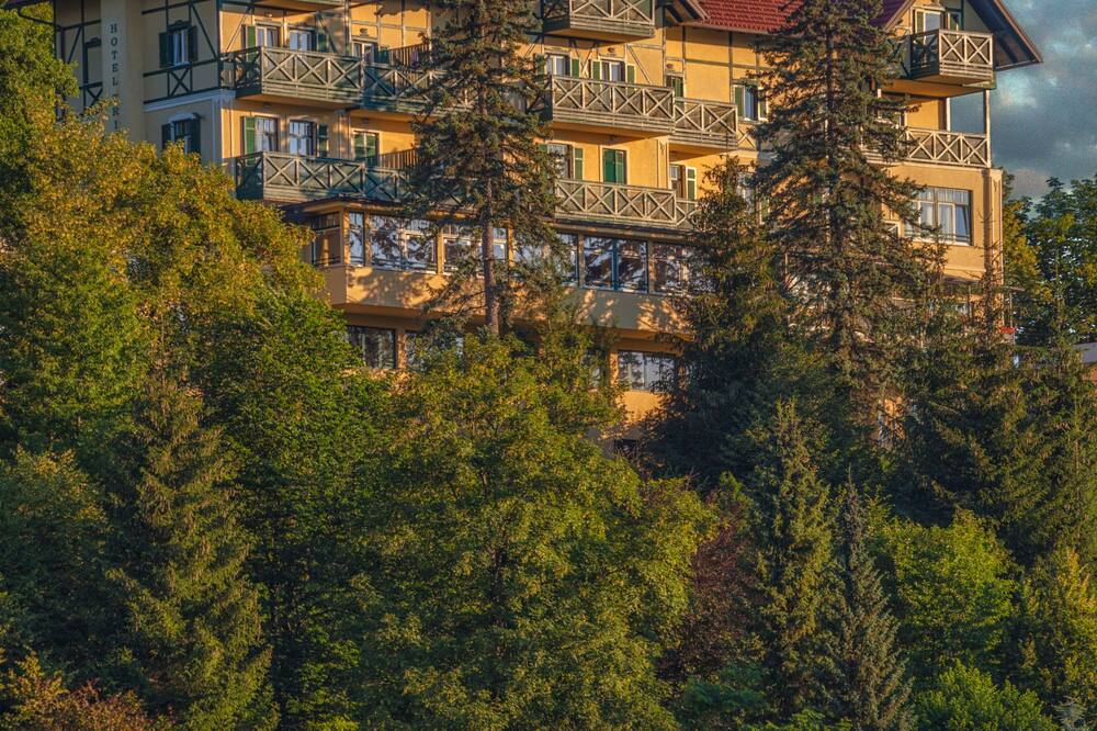 トリグラフ ブレッド 写真