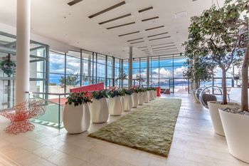 ザ ビュー 写真