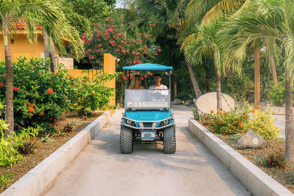 ベリージアン コーヴ エステーツ 写真