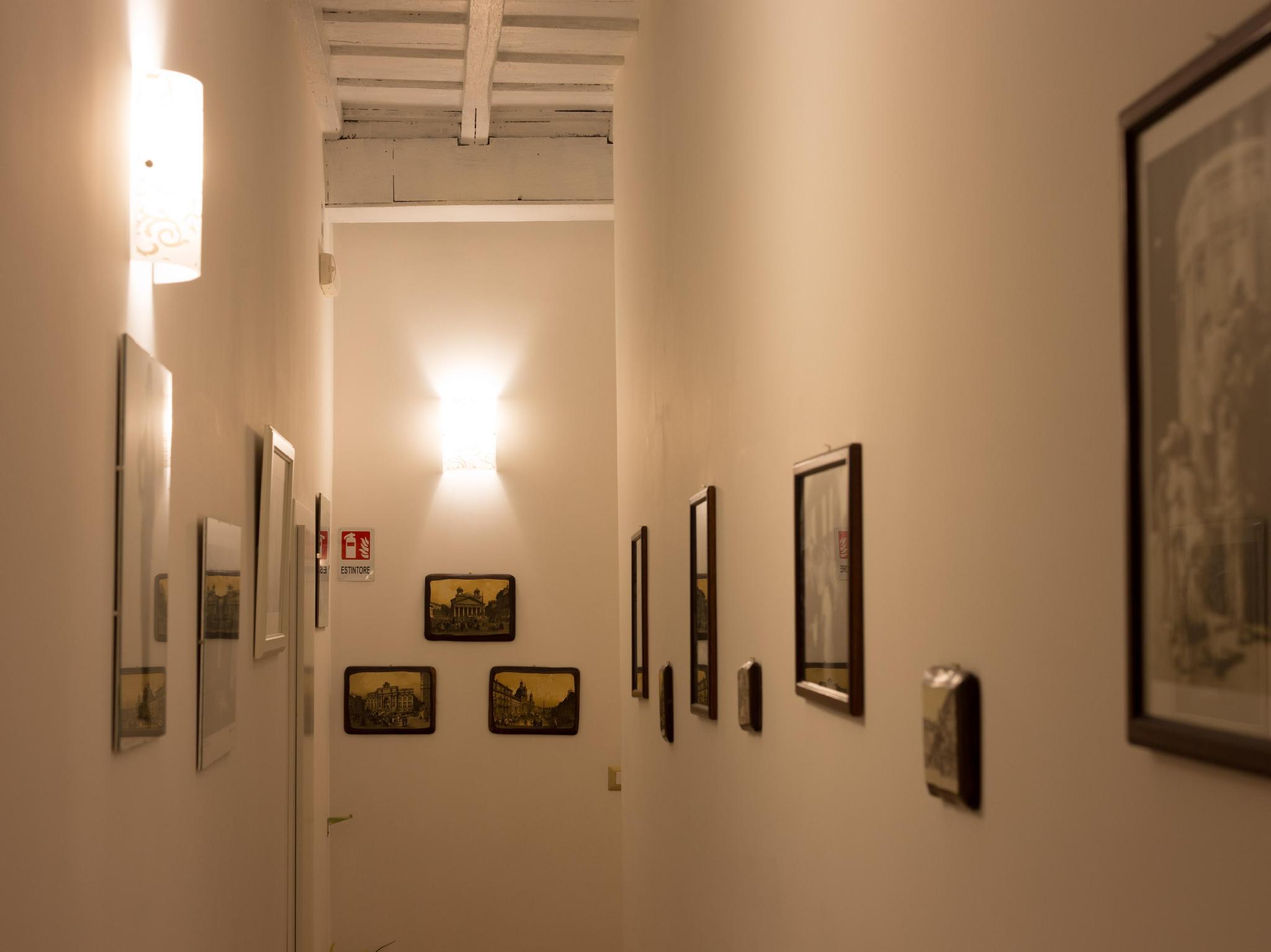 マジェンタコレクションカンチェロ 写真