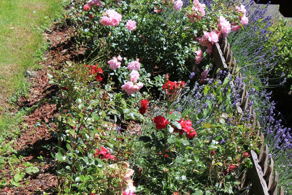 アルペンホフ 写真