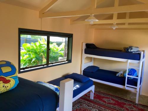 Raglan Backpackers 写真