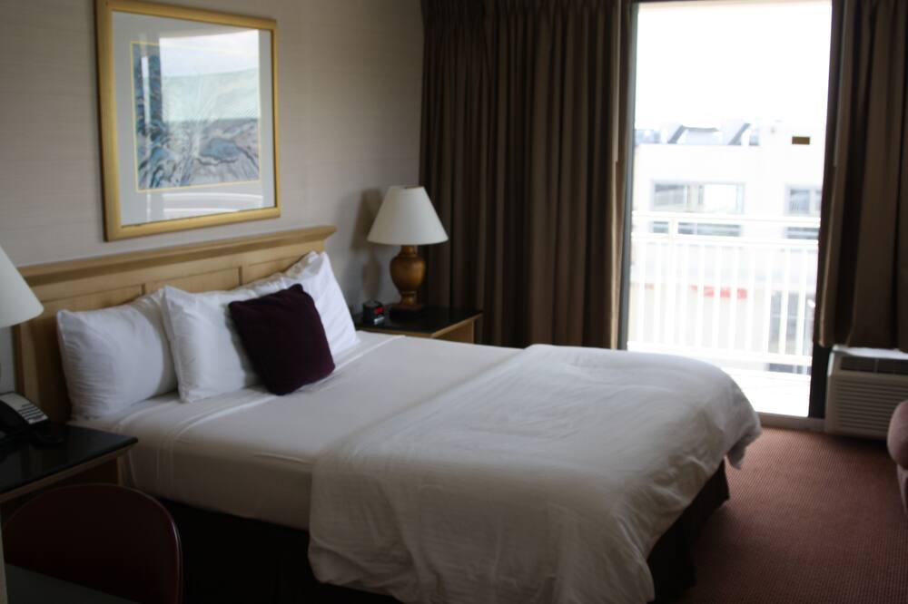 ジ エンプレス ホテル & アダルト ナイトクラブ 写真