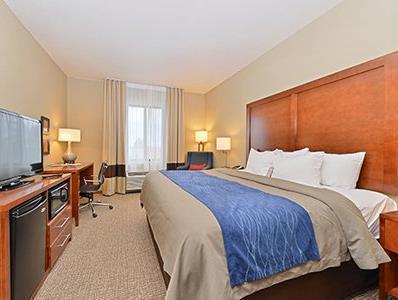 Comfort Inn & Suites 写真