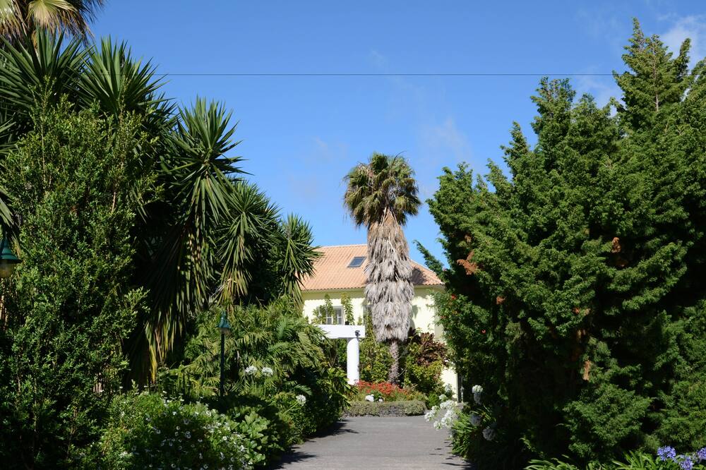 Quinta Alegre 写真