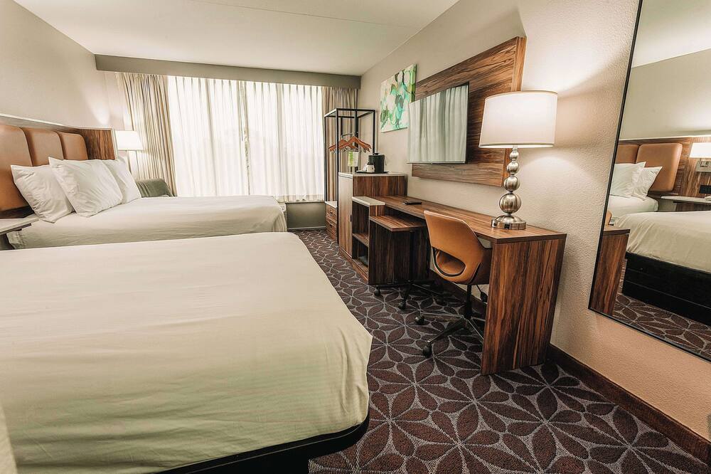 Wyndham Garden Williamsburg Busch Gardens Area 写真