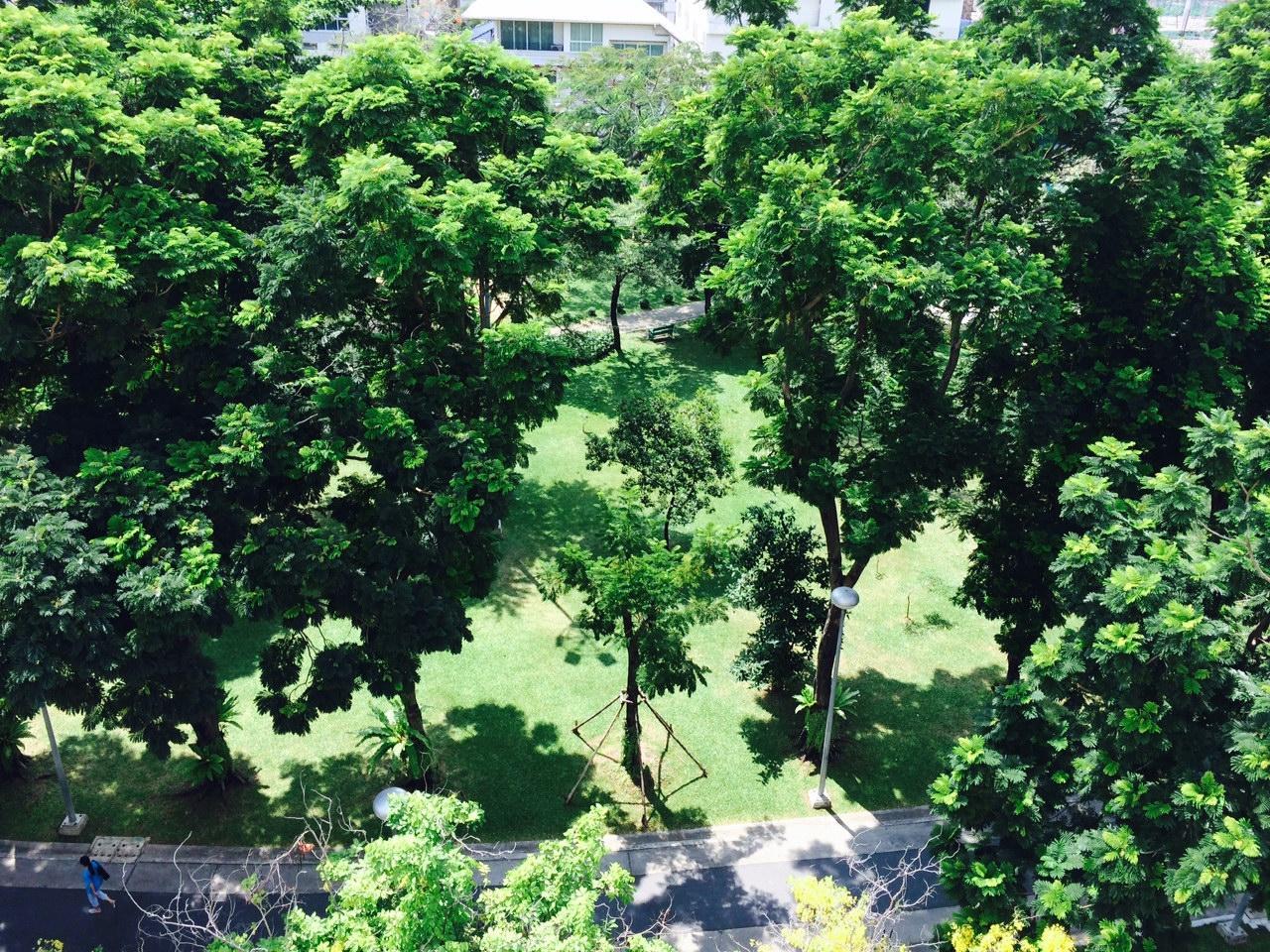 ロイヤル ビュー リゾート 写真