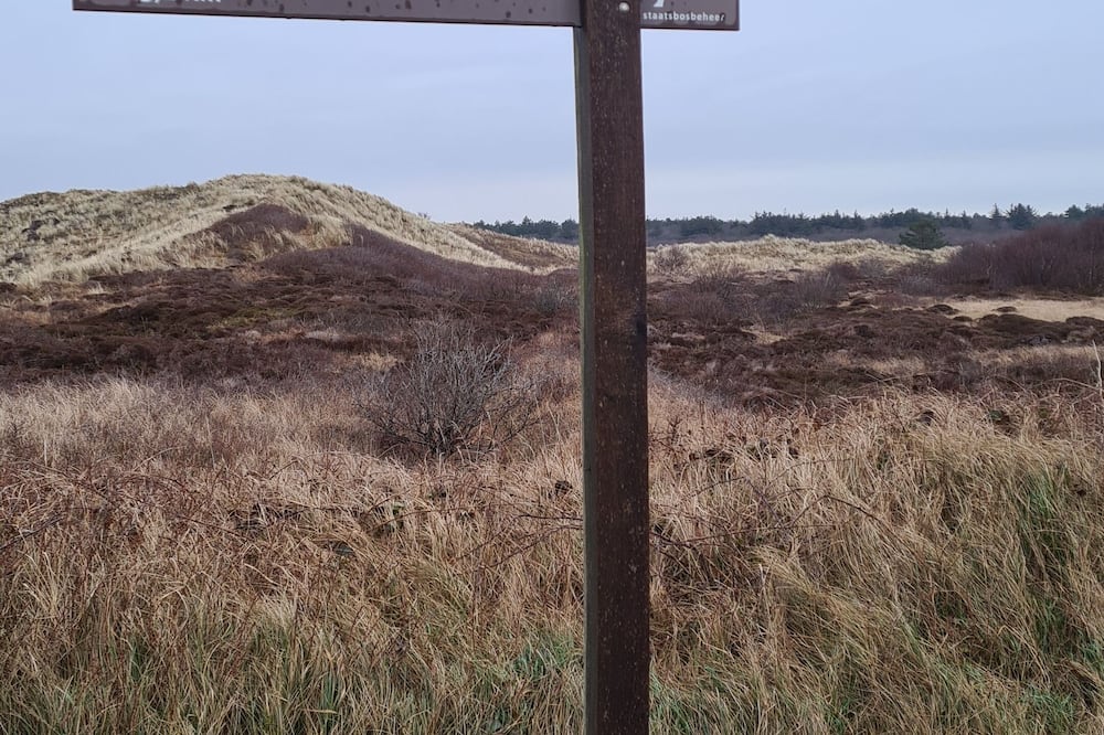 ヴァン デル ヴァルク ホテル テクセル 写真