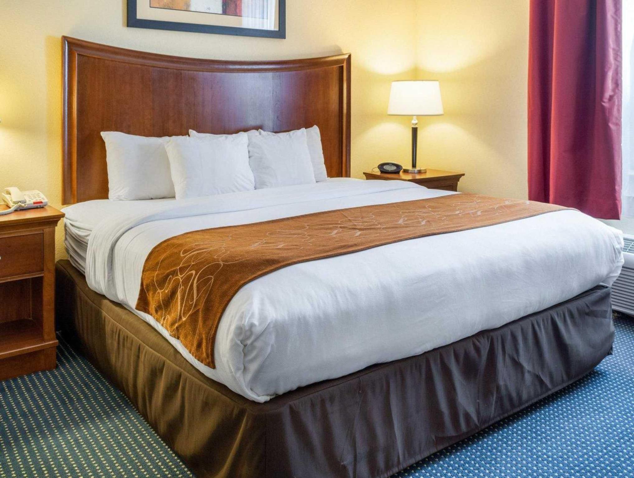 コンフォート スイーツ エアポート 写真