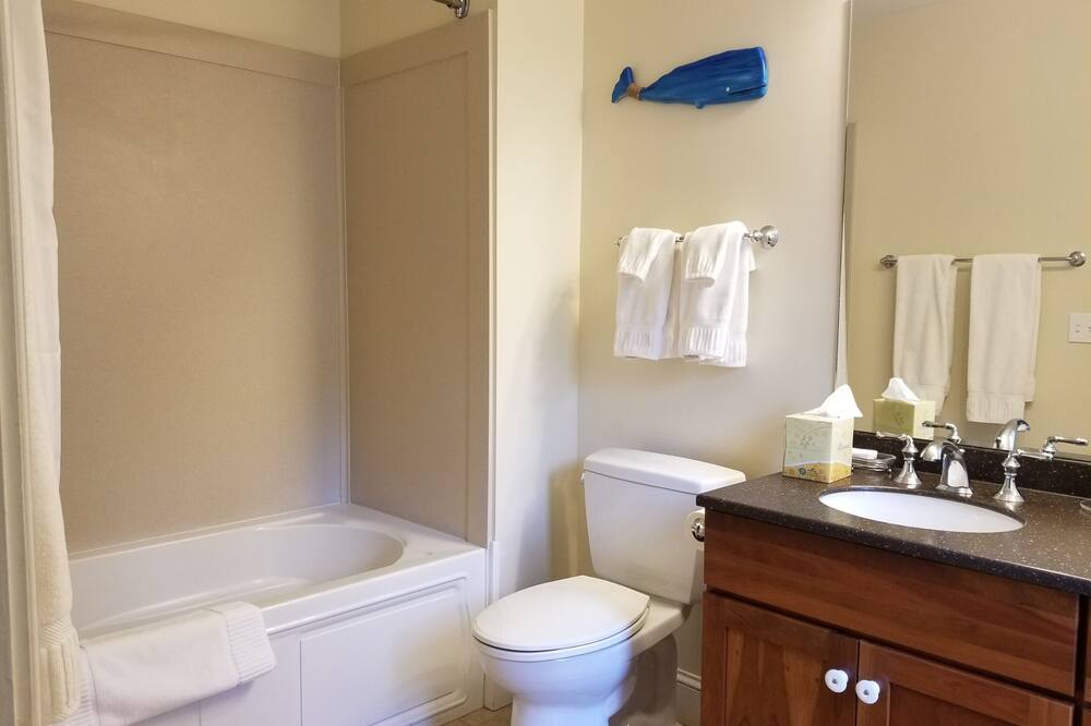 プリムローズ イン 写真