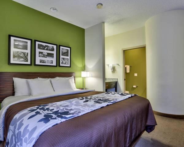 スリープ イン フラッグスタッフ 写真