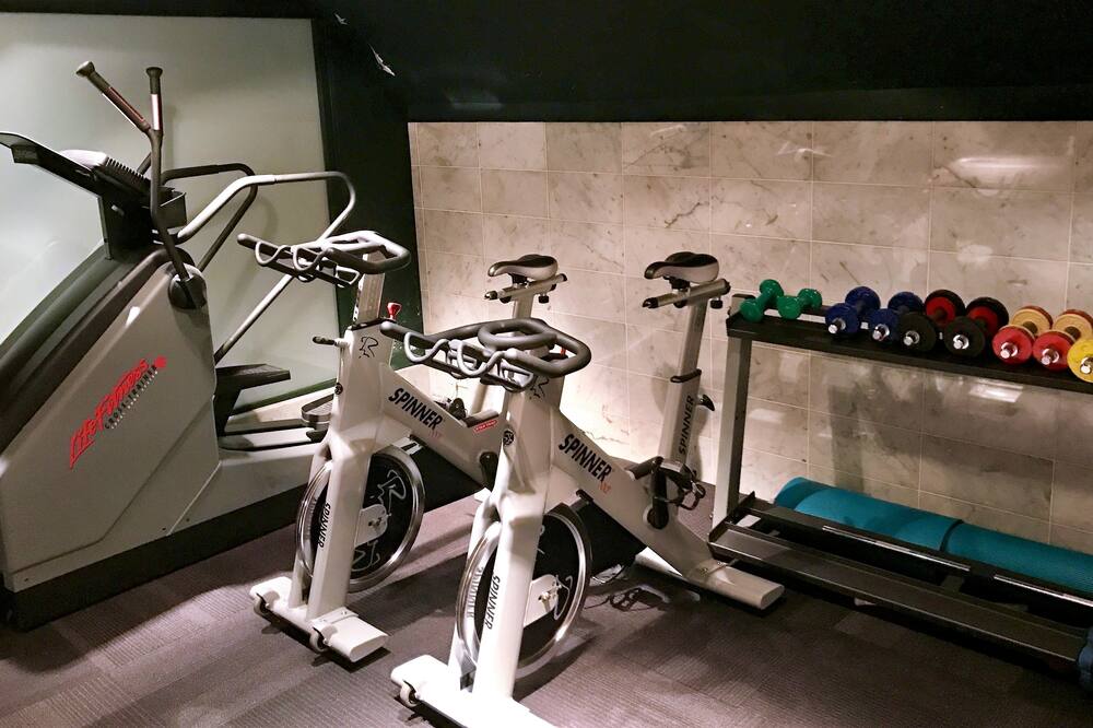 ゴールデン チューリップ オペラ ド ノアイユ 写真