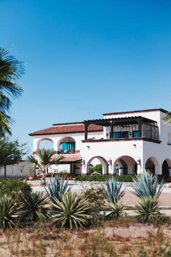 Orchid House Baja 写真