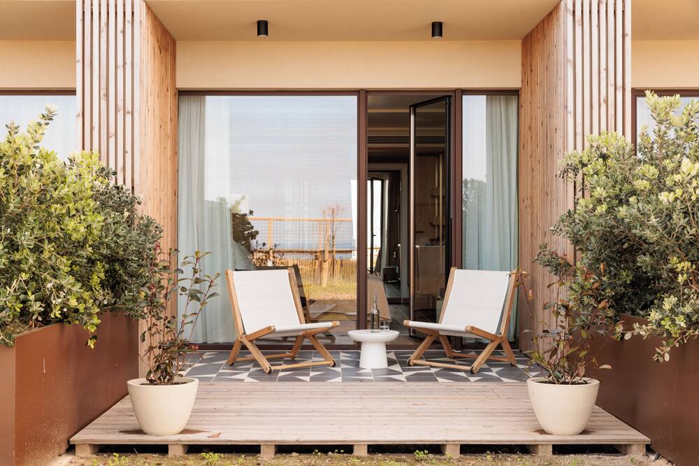 アエートス エリセイラ 写真