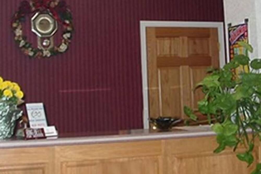 スコティッシュ イン ロンクス 写真