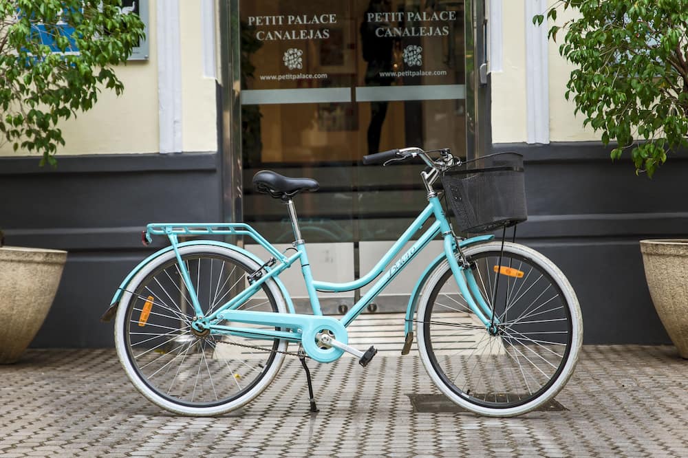 プチ パレス セビリヤ カナレハス 写真