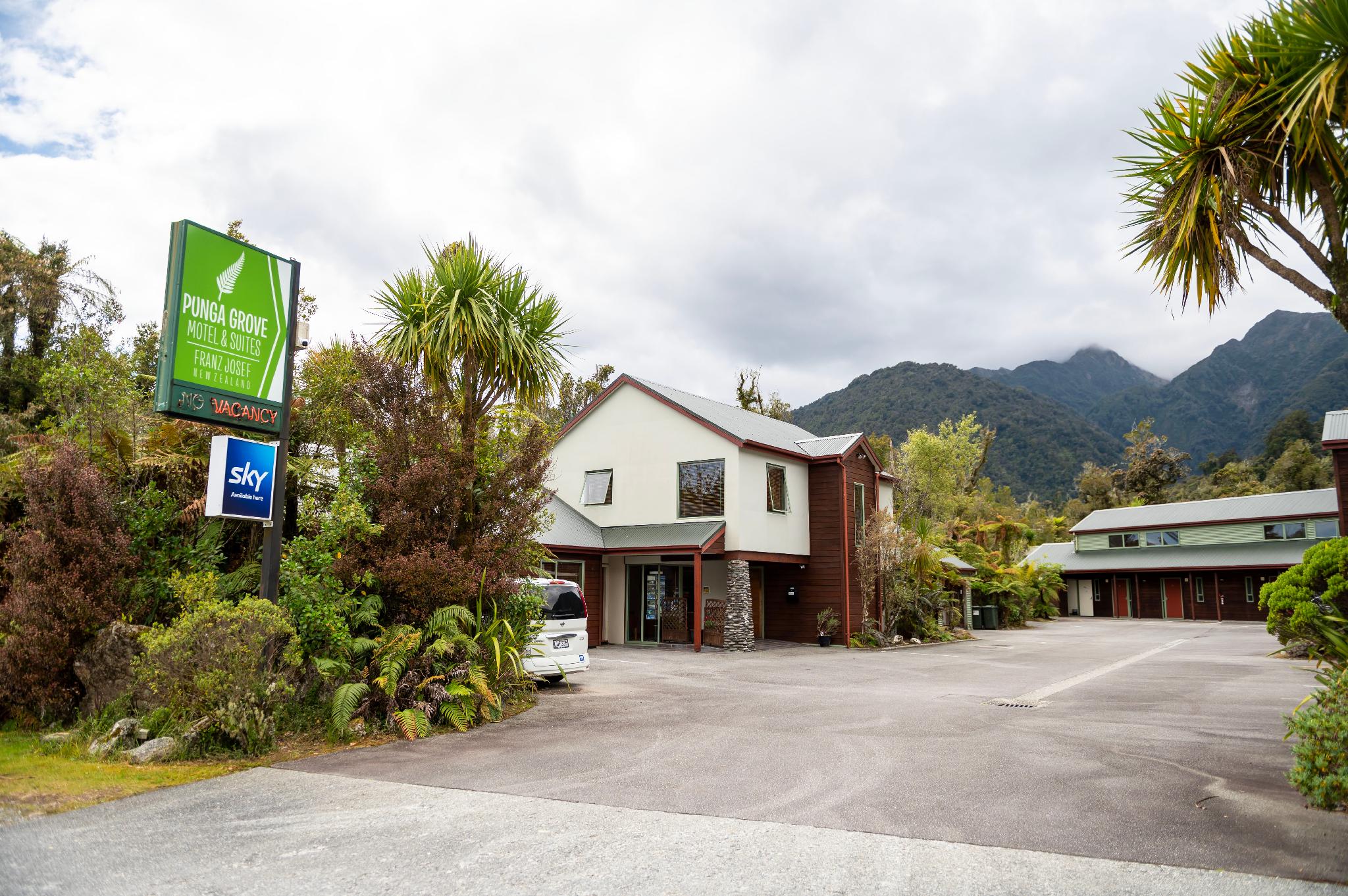 プンガ グローブ 写真