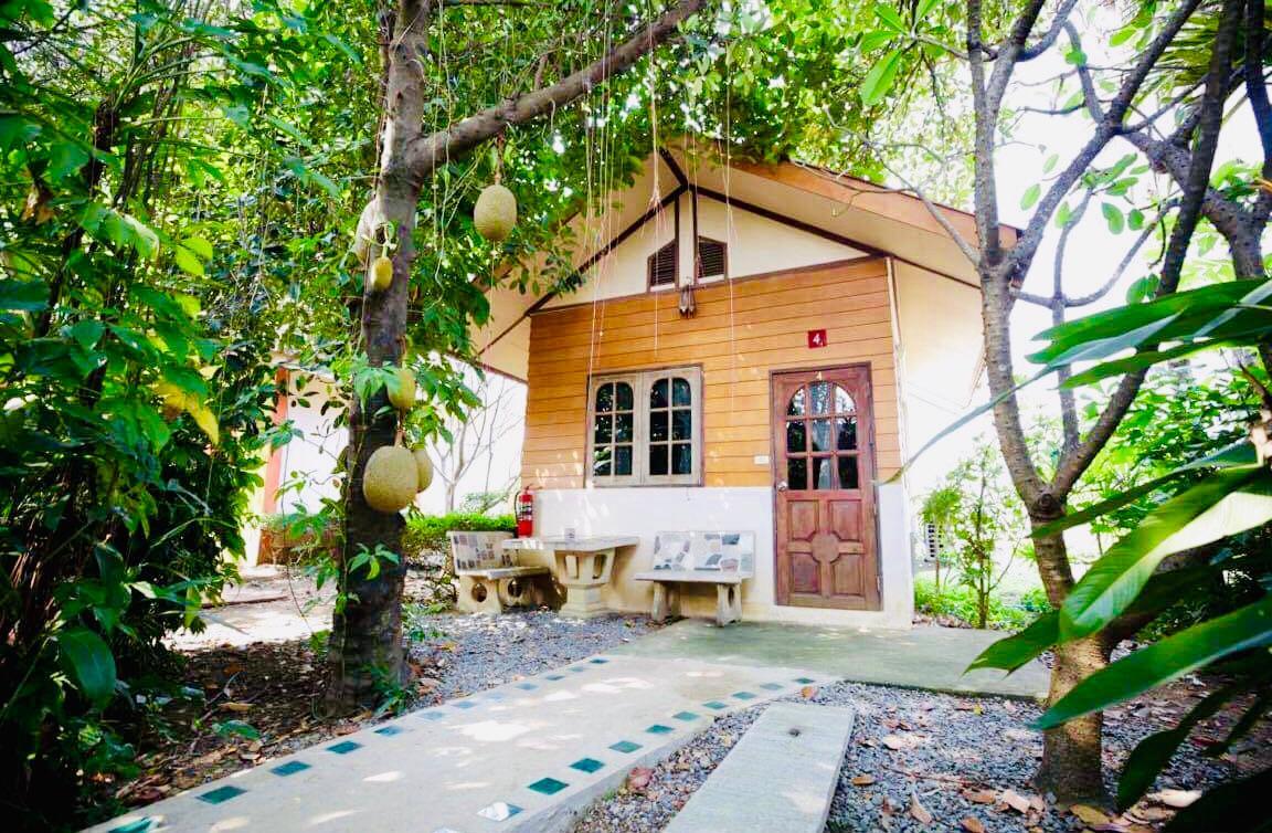 サバイディーハウス 写真