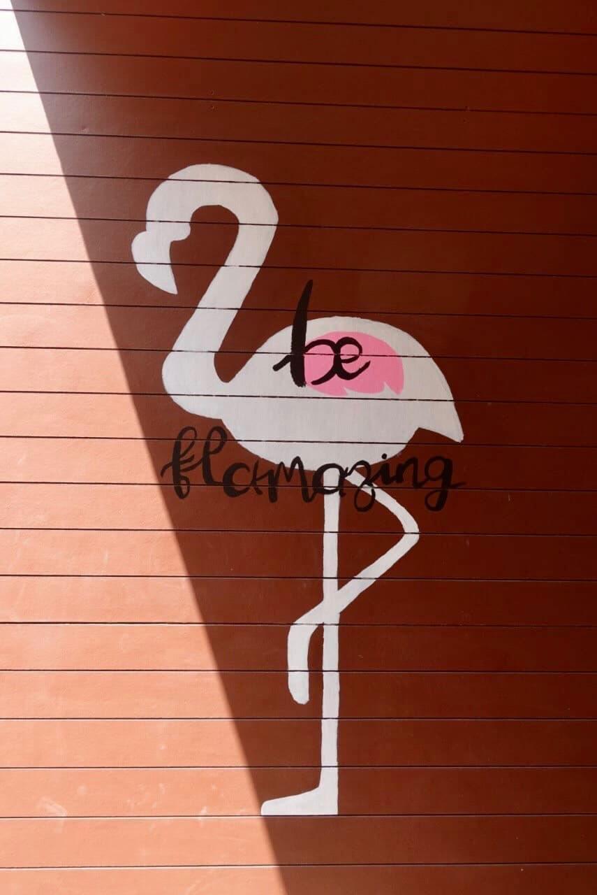 チトラ スイーツ 写真