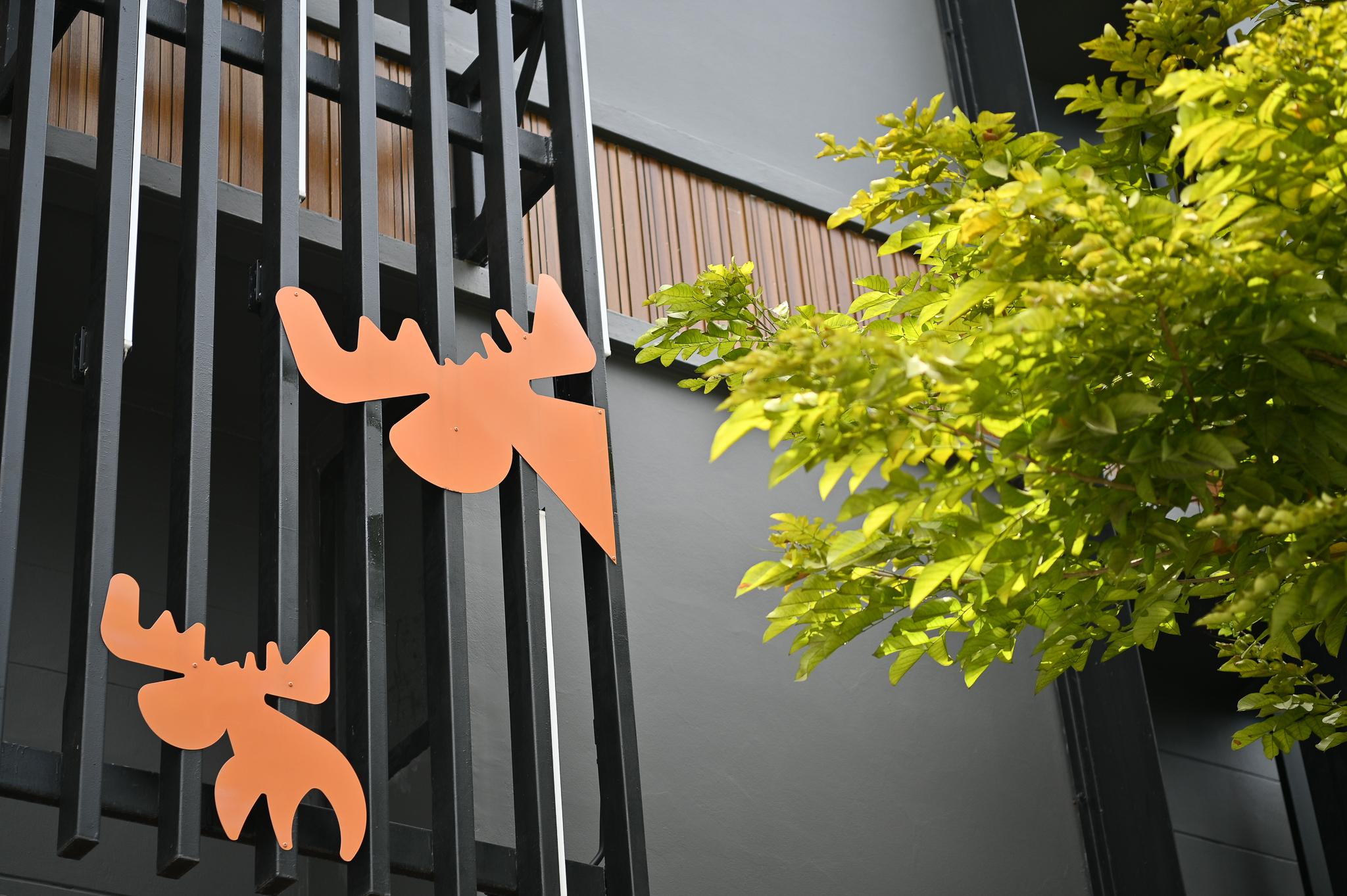 ムース ホテル チェンマイ 写真