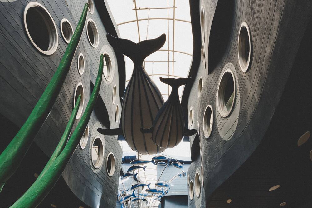 ビヨンド パトン 写真