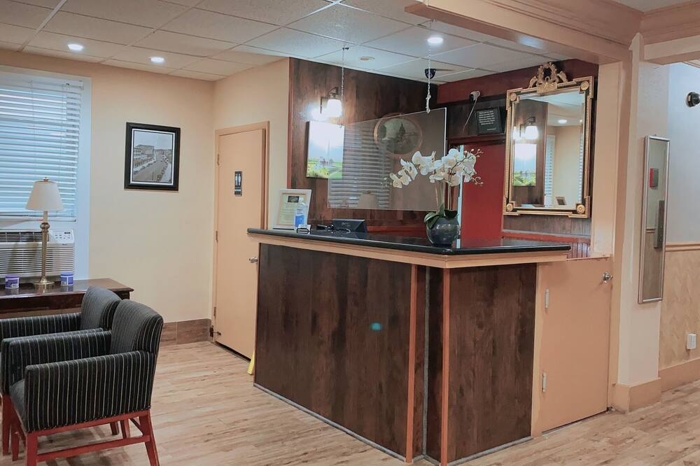 ディストリクト ホテル 写真