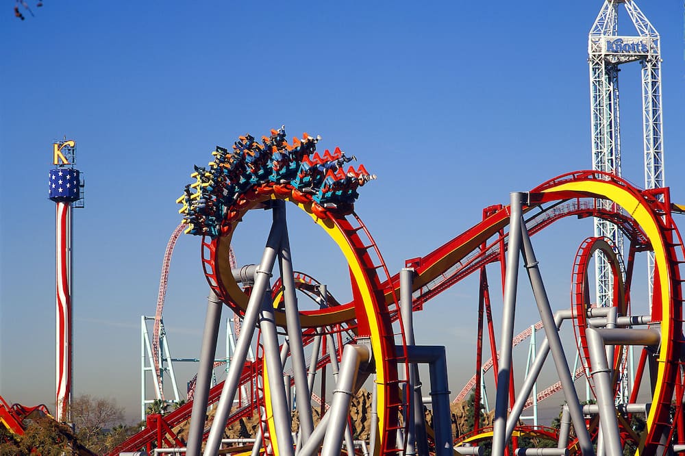 ナッツ ベリー ファーム ホテル 写真