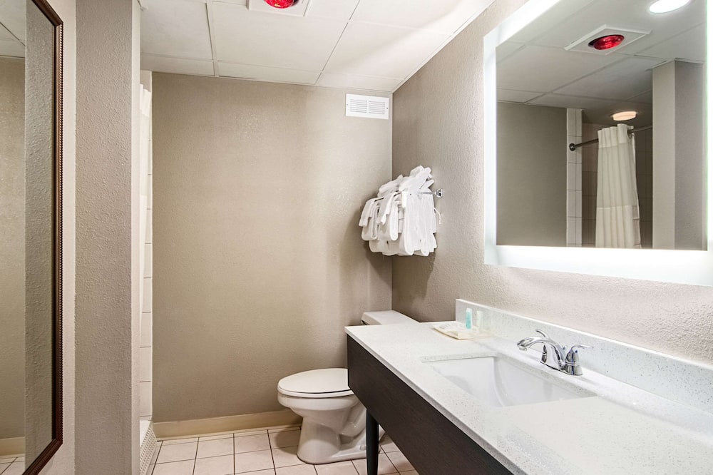 クラリオン イン ウィロー リバー 写真