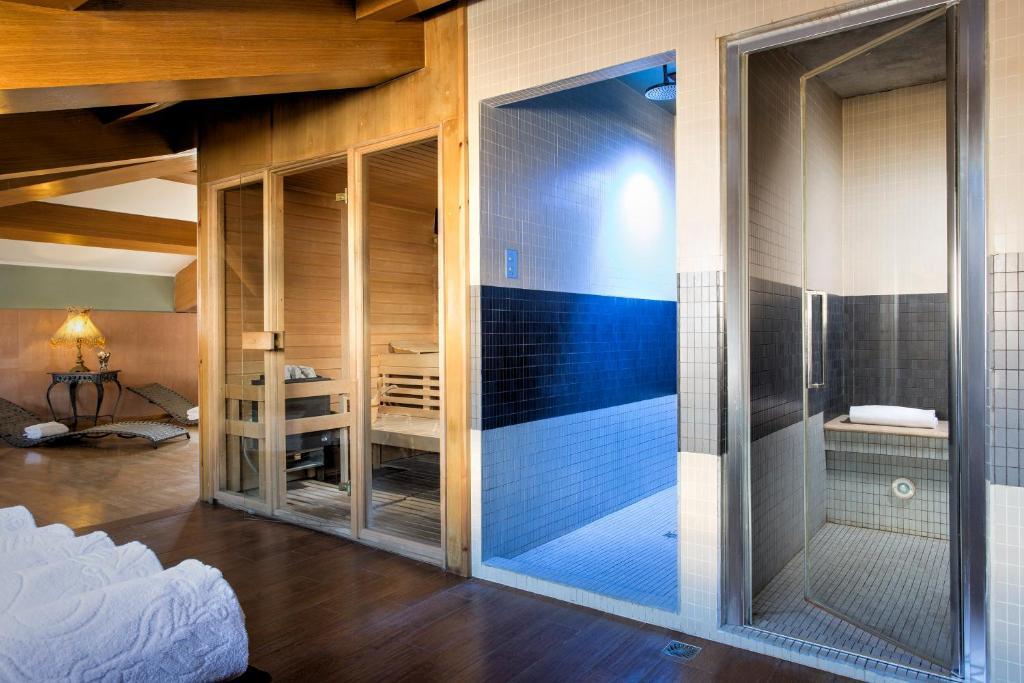 ゴールデン チューリップ ローマ ピラム 写真