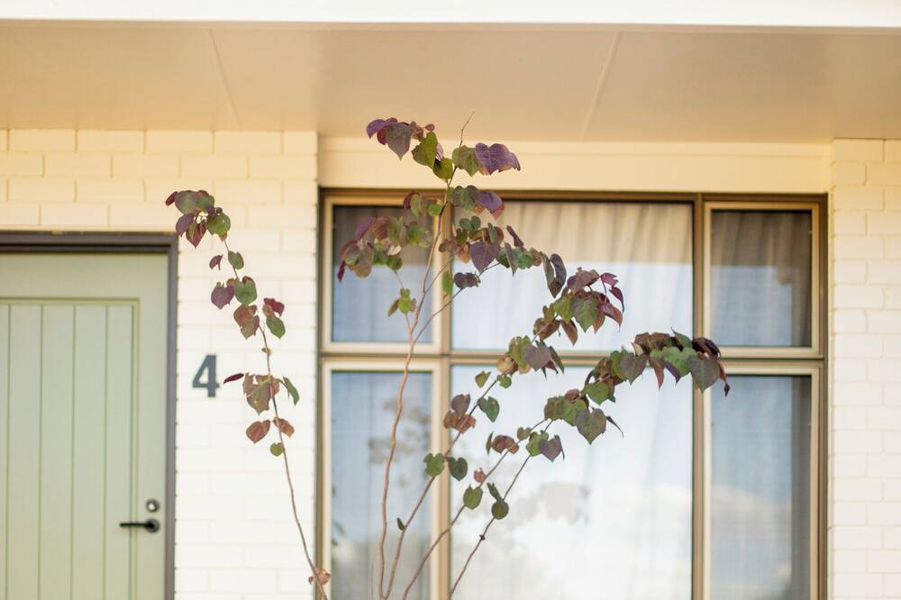 The Alluna Motel, an Ascend Collection Hotel 写真