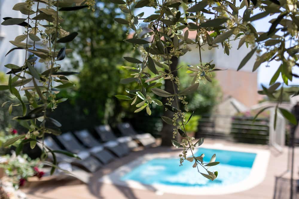 ホテル ル プティ パレ 写真