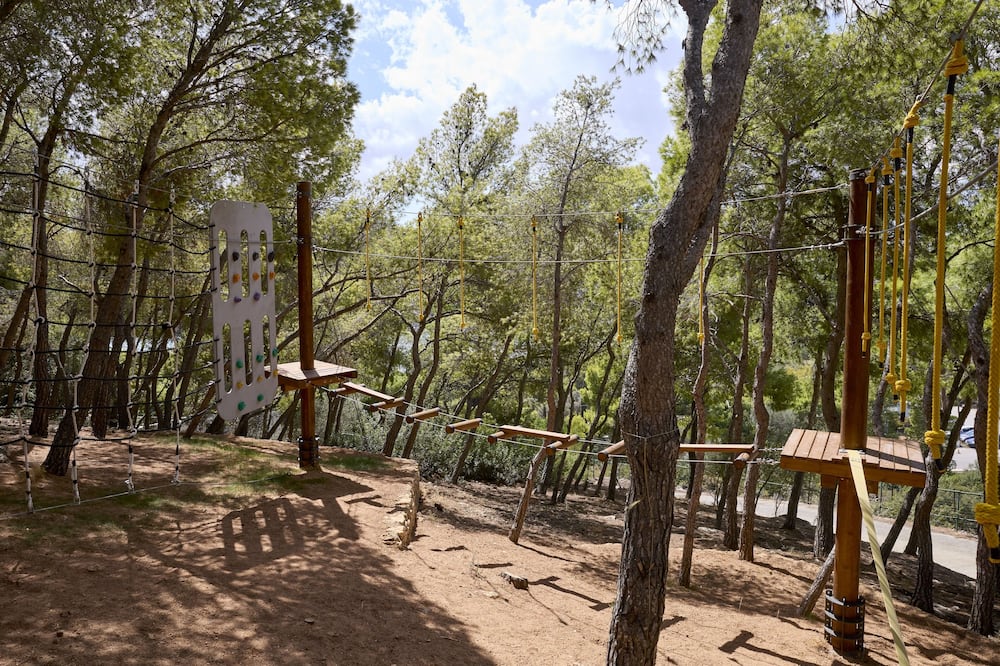 ゼウス ドルチェ アテネ 写真