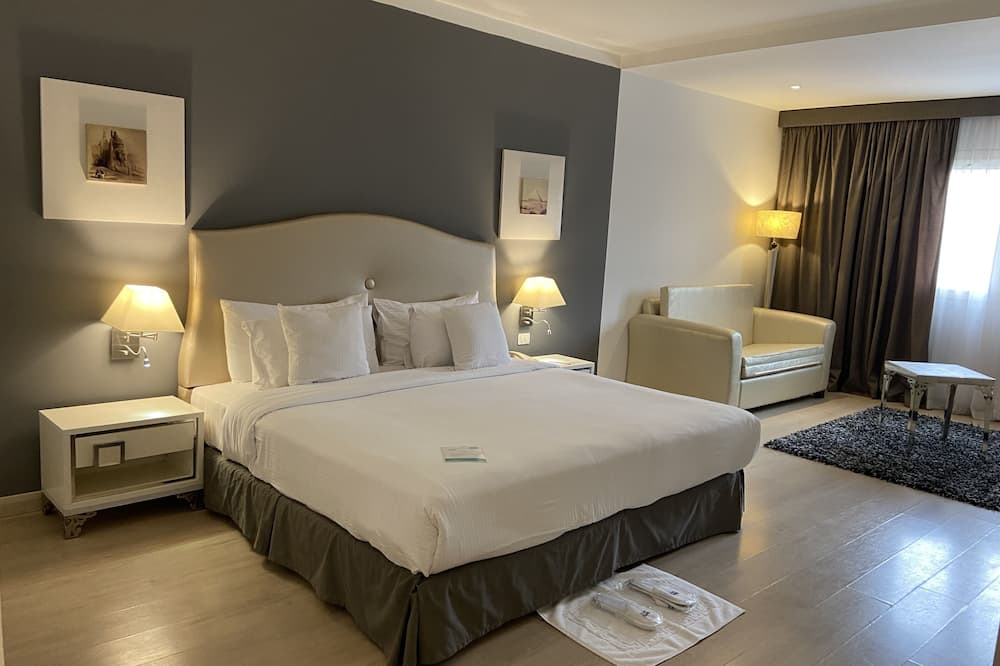 バルセロ カイロ ピラミッズ 写真