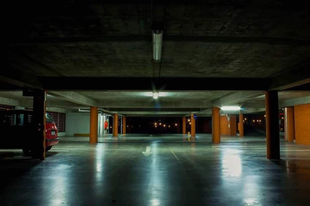 プラザ プラハ ホテル チェコ リーディング ホテルズ 写真