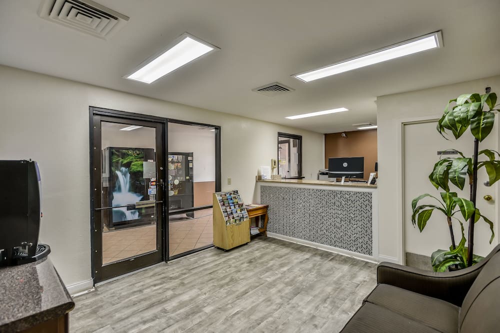 ウェイク イン 写真